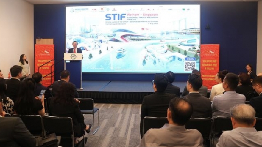 Vietnamese, Singaporean businesses boost digital connectivity
